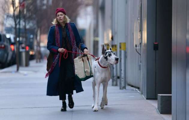 Is Royal Reels Casino Site Legit? A Comprehensive Testimonial for Players