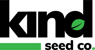 Exploring the World of Marijuana Seeds Oklahoma 1 Exploring the World of Marijuana Seeds Oklahoma 1