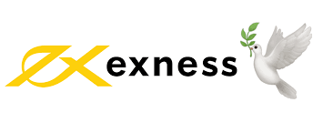 Comprehensive Guide to Exness Standard Trading Account