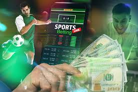 Betwinner Apostas e Entretenimento Online de Alta Qualidade